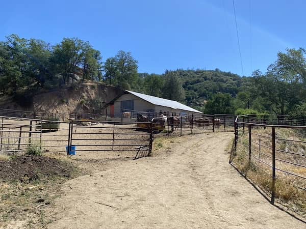 Jameson Ranch Camp California