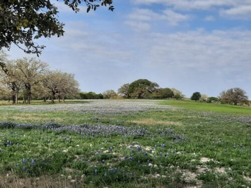 TX Ranch