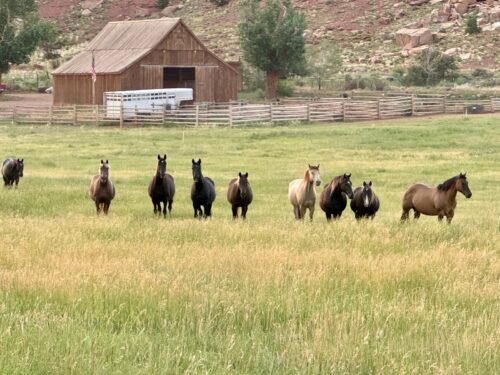 Shooting Star Ranch UT