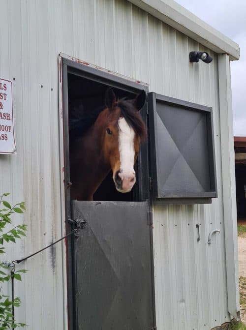 Fort Worth Horseshoe Club
