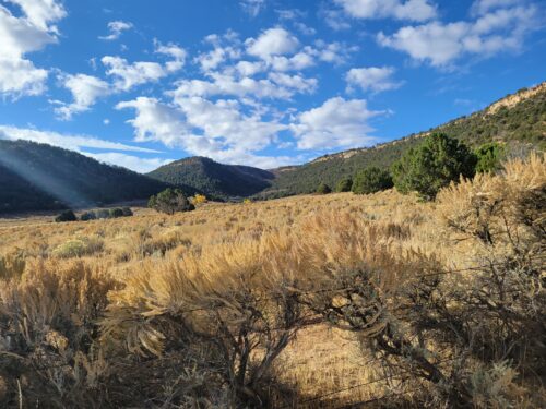 usa west