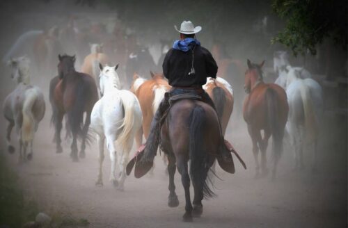 Bar Lazy J Guest Ranch - Colorado