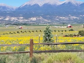 Headwaters Hounds Sanctuary CO