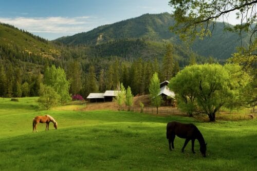 Bar 717 Ranch CA