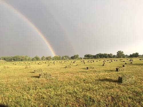 Uhrich Farm - Colorado