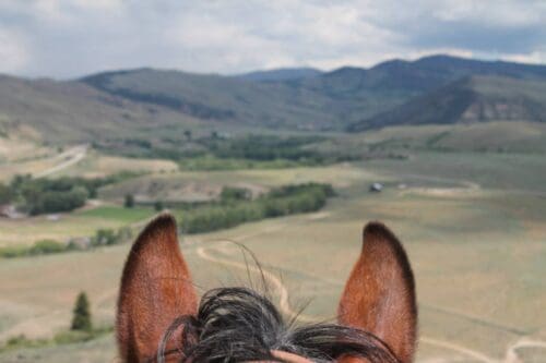 Bar Lazy J Guest Ranch - Colorado