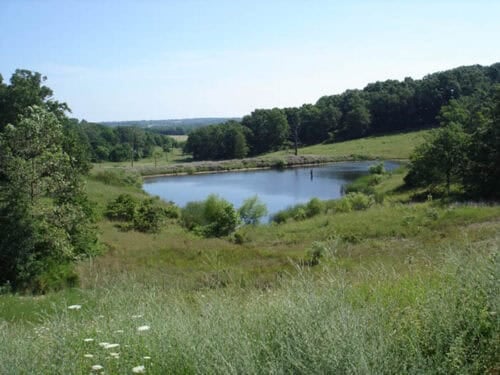7 Springs Farm