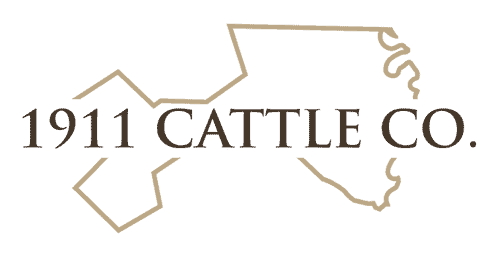 1911 Cattle Co