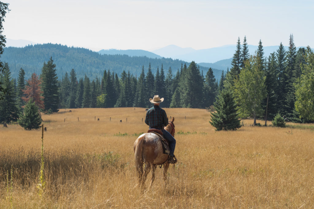 Western Pleasure Guest Ranch Views