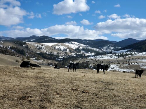 Boomer Ranch Montana