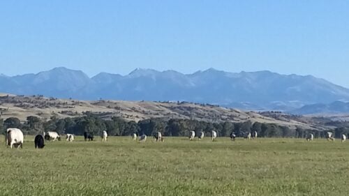 Livingston Montana Ranch