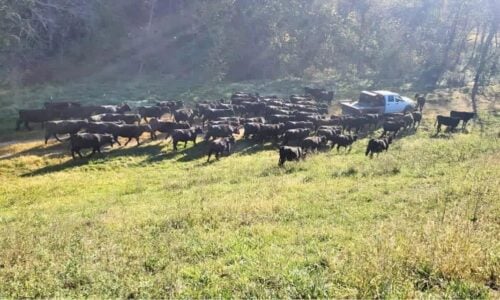 Missouri Ranch