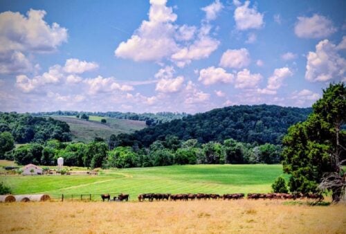 Missouri Ranch