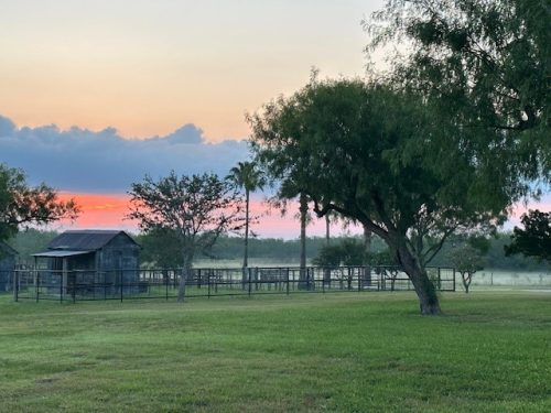 Joya Corona Ranch TX