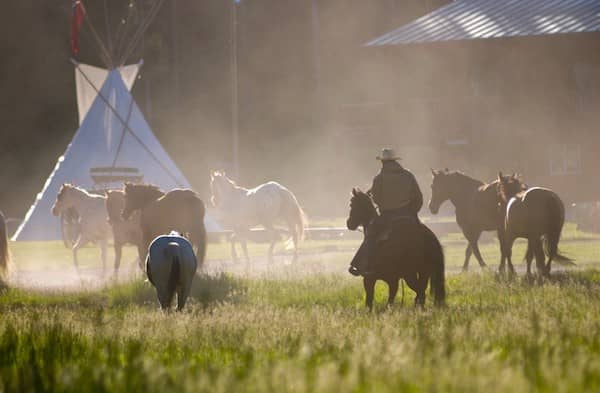 320 Ranch - Montana