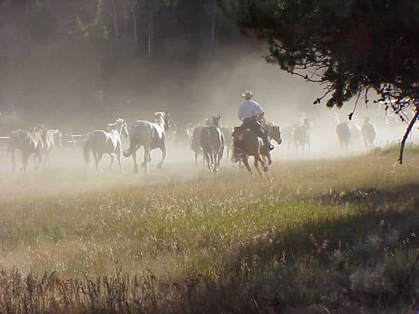 320 Ranch - Montana