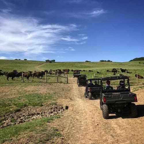 Ranch Hands & Tour Guides needed at 3,000 acre Bison Ranch in Colorado