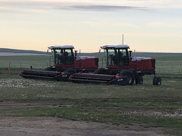 Hailstone Heifer Development - Montana