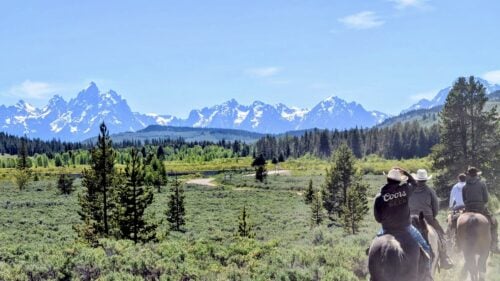 Yellowstone Outfitters Wyo