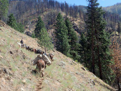 Hells Canyon Outfitters