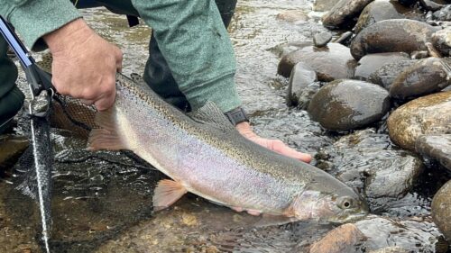 Bar Lazy J Guest Ranch - Colorado