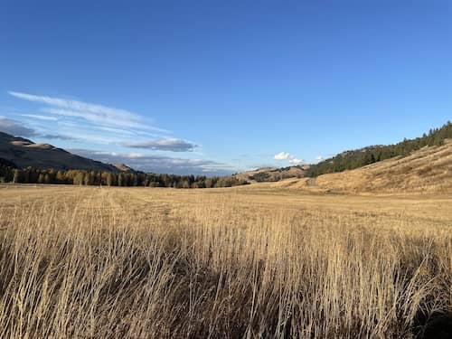 5 Nickel Ranch WA