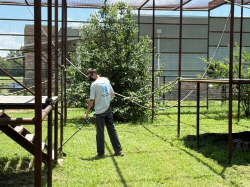 Black Beauty Ranch TX