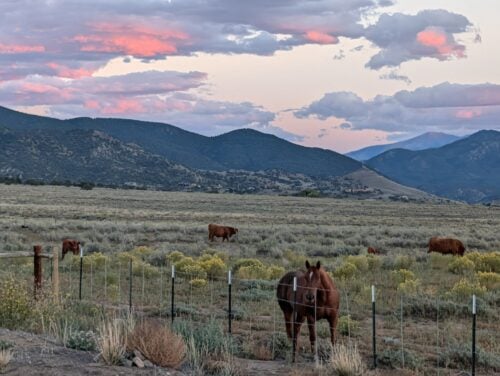 Headwaters Hounds Sanctuary CO