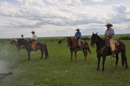 Flying O Ranch ND