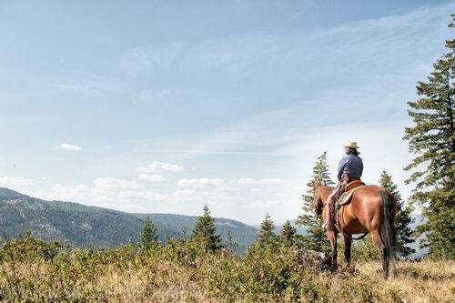 McGinnis Meadows Cattle & Guest Ranch