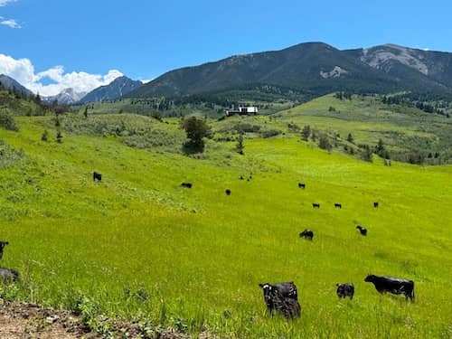 63 Ranch MT