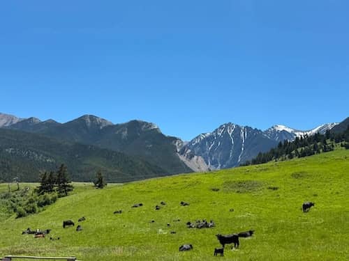 63 Ranch MT