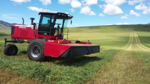 Sieben Live Stock Co. Montana