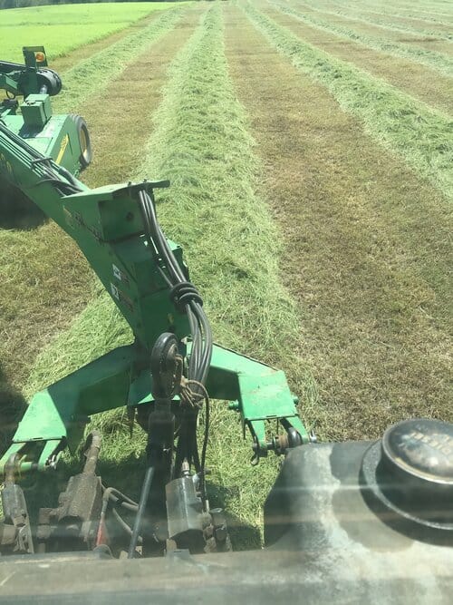 Position Wanted Looking for Fulltime Farm/Ranch Job in Texas or