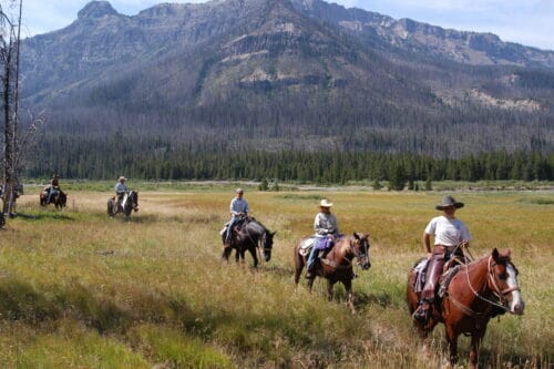 Yellowstone Outfitters Wyo