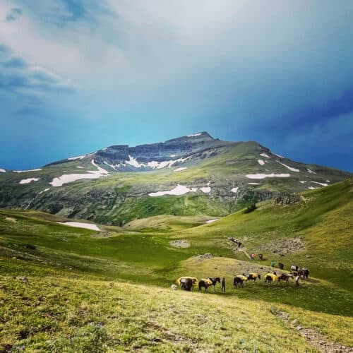 Yellowstone Outfitters WY