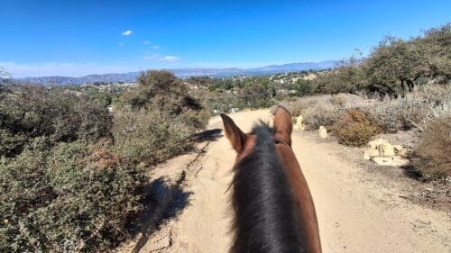 Ravenswood Ranch CA