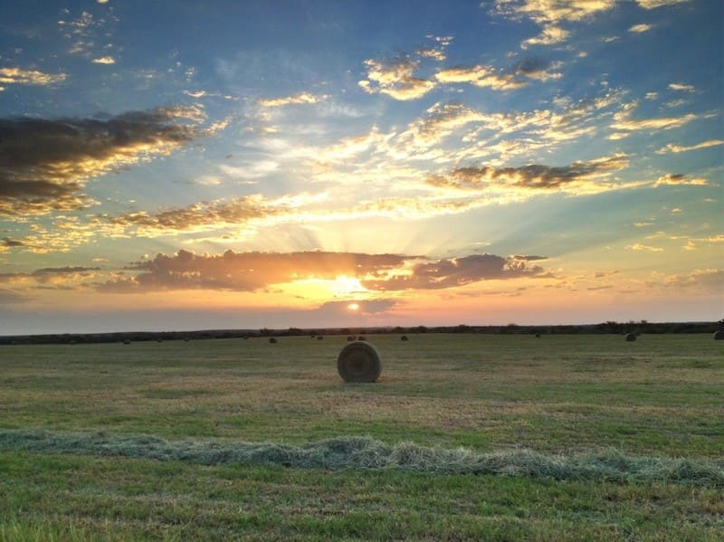 Blake Brothers Ranch - Spring, Texas