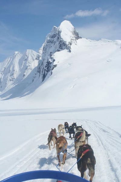 Alaska Icefield Expeditions Dog Sled Tours