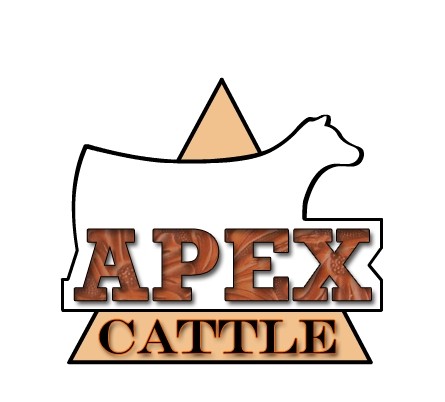 Apex Cattle