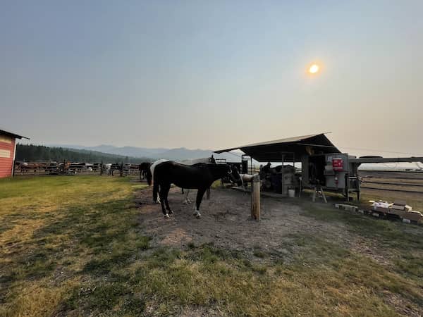 Blackfoot Horseshoeing - Montana