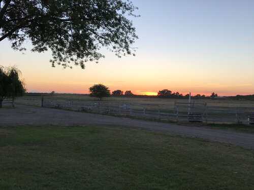 Equine & Ranch Caretaker needed in Gridley, California