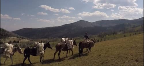 Centennial Outfitters Montana