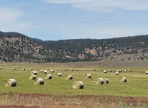 D bar J Ranch Oregon