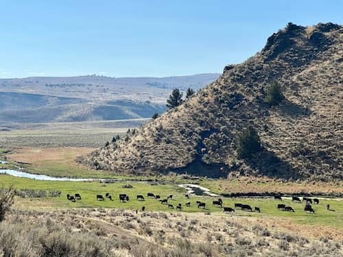 D bar J Ranch Oregon
