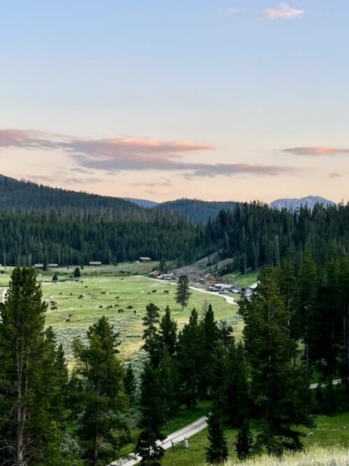 Elkhorn Ranch Montana