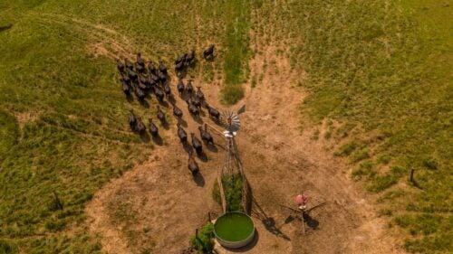 Iowa Farm & Ranch