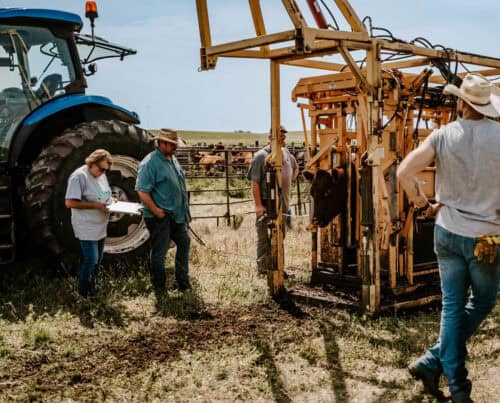 Bieber Red Angus Ranch SD