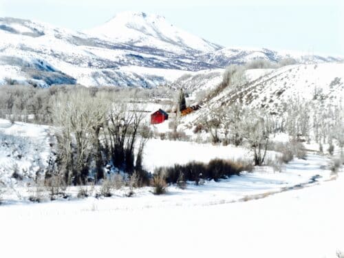Focus Ranch