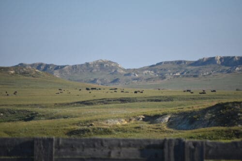 Gartner-Denowh Angus Ranch